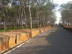 අහංගම සංචාරක කලාපයට ආසන්නව