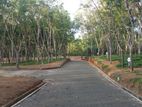 අහංගම සංචාරක කලාපයට ආසන්නව