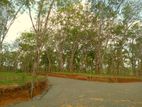 අහංගම සංචාරක කලාපයට ආසන්නව Land