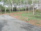 අහංගමින් විලා සඳහා හොඳම ඉඩම්