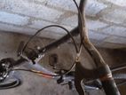 Aima Liberty Bike