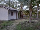 Akkarepattu : 2 Acers Coconut Farm land for sale at Komari.