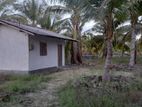 Akkarepattu : 320p A Coconut Farm land for sale at Komari.