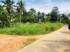 අක්කර 1 යි පර්චස් 16 ක පොල් ඉඩම Mahawa / SA 15171