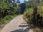 අක්කර 5ක වටිනා ඉඩමක් විකිණීමට
