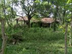 අක්කර 7.5ක වටිනා ඉඩමක් විකිණීමට Katupotha