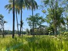 අගනා බිම් කොටසක් ඇතිමලේ