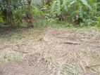 Land for Sale වැල්ලවාය