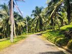 අක්කර කාලකට වැඩි වටිනා ඉඩමක් බණ්ඩාරගමට ලඟින්