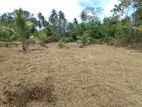 Land for Sale පොත්තුක්කුලම