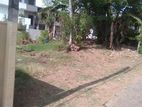 (AL03) 10 Perch Land for Sale in Homagama