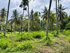 (AL140) 1 Acre Land for Sale in Ilukhena, Kurunegala
