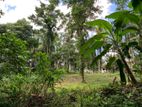 (AL198) 120 Perch Land for Sale in Polgasowita