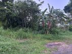(AL35) 63 Perch Land for Sale in Kottawa