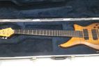 alembic guitar