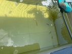 Algae Fish