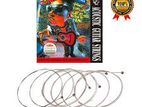 Alice A306-SL Acoustic Guitar Strings Set - 6 String