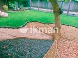 All Kind of Garden Service - Maharagama