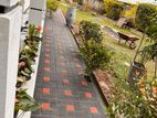 Interlock and Paving