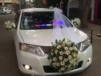 Allion Car For Hire/ Wedding