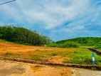 අළුත්ගම වැලිපැන්නෙන් බිම්කොටස්