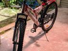 DSI Mountain Bike