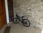 Mountain Bicycle