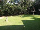 almost house for super land sale in kohuwala