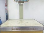 Alpha 30kg electric scale