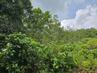 (ALR124) 2 Acre Land for Rent in Padukka