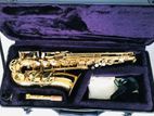 Alto Saxophone