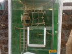 Aluminium Bird Cage