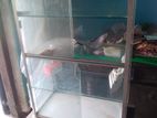 Aluminium Showcase