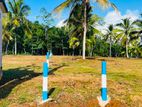 අලුත්ගමින් හොඳ ඉඩමක්