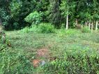 Aluthgama : 10.5P Highly Residential Land for Sale in Meegama.