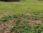 ALUTHGAMA : 50P VALUABLE RESIDENTIAL LAND FOR SALE