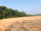 Aluthgama Land for Sale