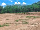 Aluthgama New Land for Sale