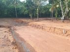 අලුත්වල මීඩියාගොඩ පුධාන පාරට මුහුණලා Land