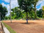අලුත්වලින් බිම් කොටස් විකිණීමට