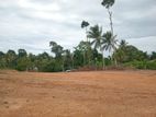 අලුත්වලින් බිම් කොටස් විකිණීමට
