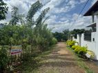 අලුවිහාරේ තැබිලිවත්තේ වටිනා නේවාසික ඉඩමක් විකිණීමට