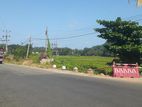 අලව්ව Land for Sale