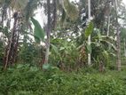 Land for Sale in Alawwa