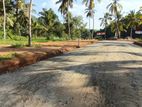 අලව්ව නේවාසික බිම් කොටස් විකිණීමට