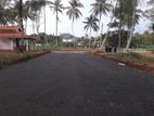 අලව්ව නගරයෙන් අඩුවට ඉඩමක් විකිණීමට