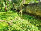 අලව්ව නගරයෙන්ම පර්චස් 13.7ක වටිනා ඉඩමක්