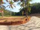 අලව්ව නගරයට අසන්නයෙන් ඉඩමක් ගෙවිමේ ක්රමයට