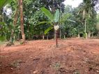 අලව්ව - පර්චස් 20ක වටිනා ඉඩමක් විකිණීමට