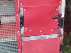 Birds Cage